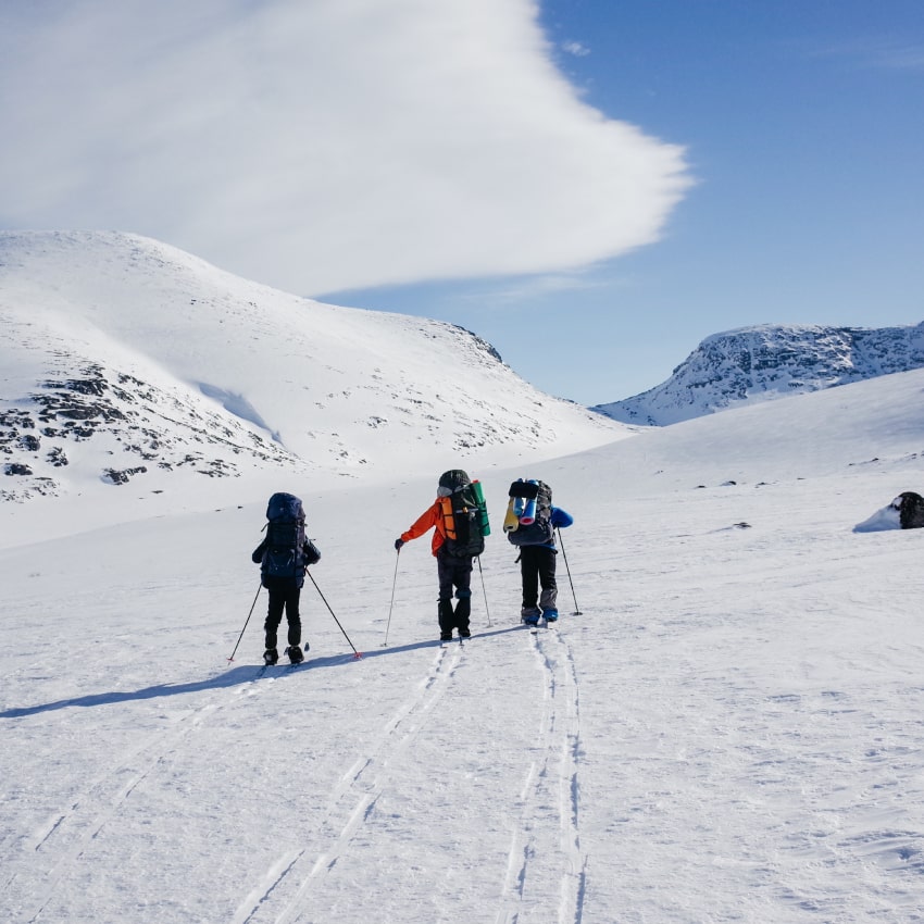 gallery1-8 gallery1-8